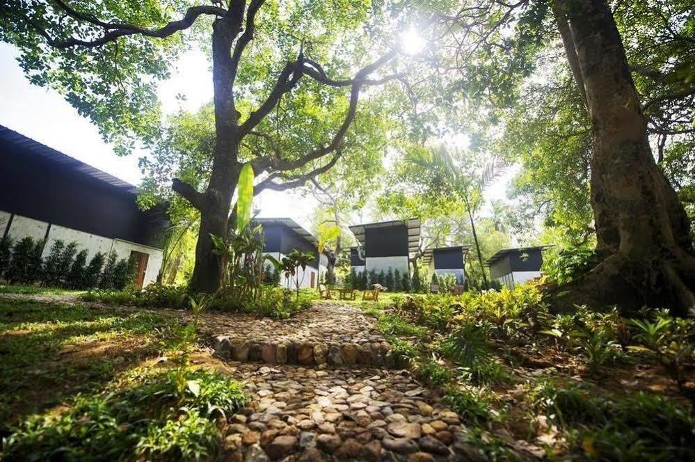Himmapan Resort Koh Phayam Εξωτερικό φωτογραφία